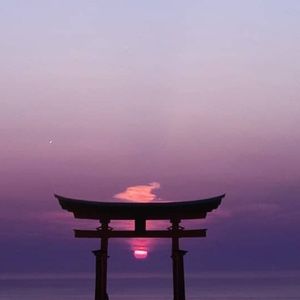 Meet your Posher, Marilyn